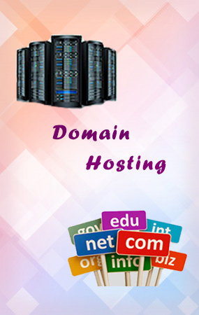 domain hosting sriperumbudur